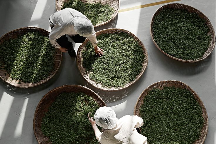 Tracing the immense power held by a few companies over seeds, fertilizers, farming equipment, and food distribution, and its impact on global food security and pricing.