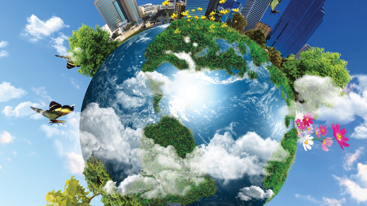 Major corporations are implementing comprehensive sustainability strategies that transform business operations while addressing climate change and environmental responsibility across global supply chains.