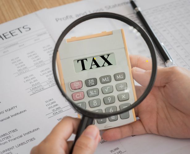 How a handful of software companies have concentrated the market for tax filing,leveraging complexity to create a captive customer base and lobby against simplification