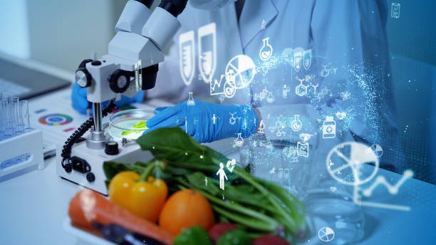 Food technology innovations are revolutionizing agriculture, food production, and dining experiences while addressing global challenges including climate change, food security, and sustainable nutrition worldwide.