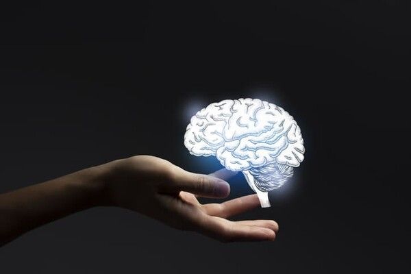 As neural interface technology develops, how private companies are racing to concentrate the ultimate proprietary asset: direct access to human cognition.