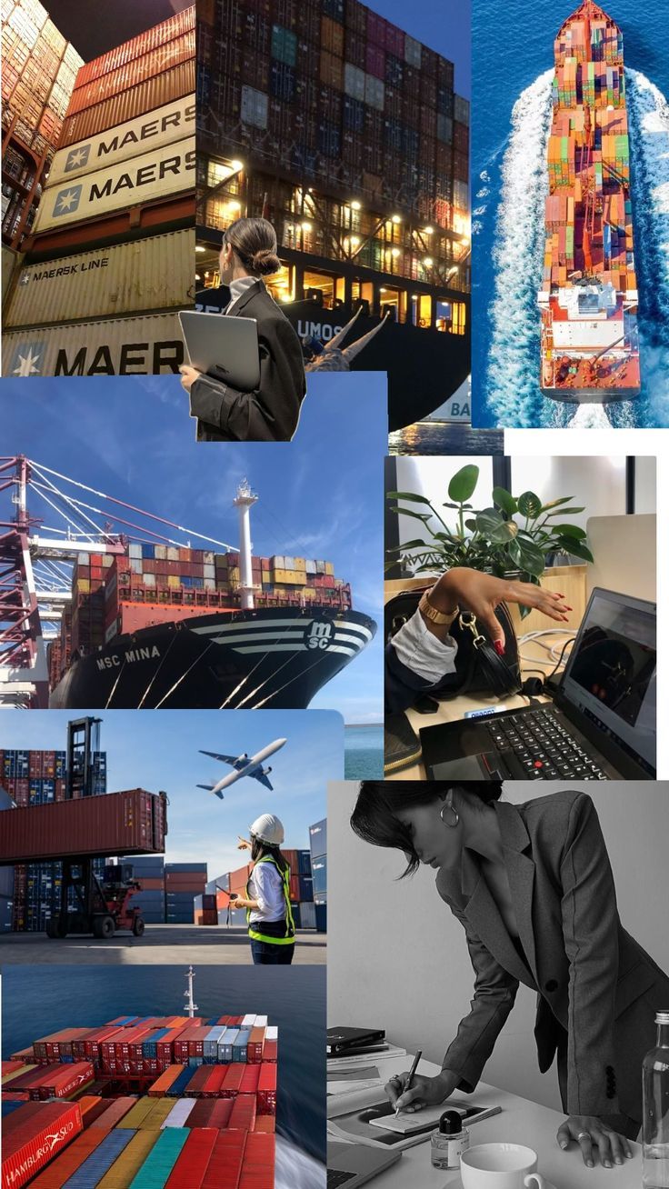 Global Shipping Bottlenecks: The Concentration of Logistics Networks