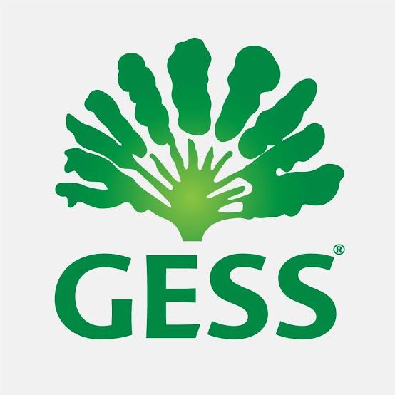 GESS