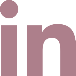 linked-in-icon-red-transparent